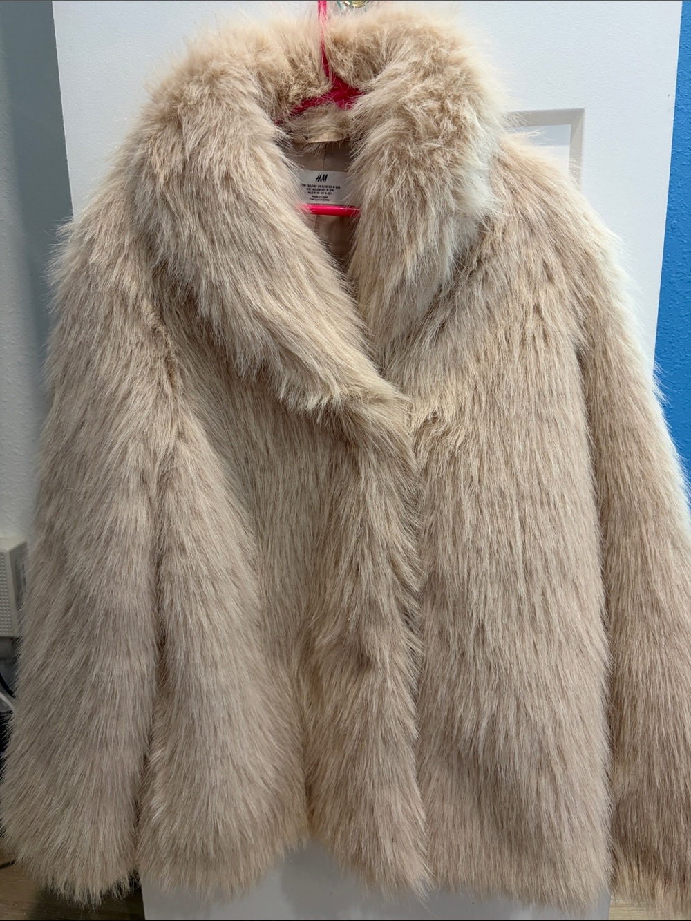 H&M Plush Teddy Faux-Fur Jacket in Beige
